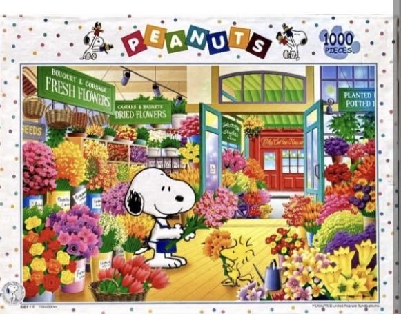 Buried Blueprint Puzzles From The Past Noah Ark Piece Jigsaw