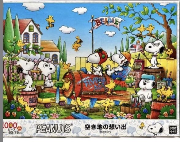 AP-XX: Snoopy Exercise