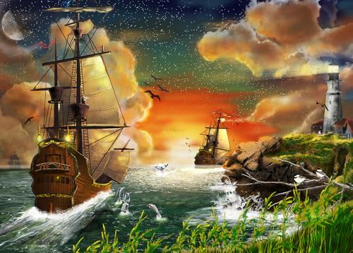 Disney Treasures from the Vault 11 : Robin Hood