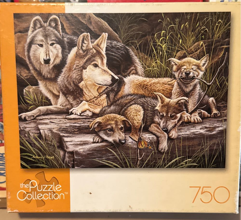 Rockefeller Center Signature Collection Clear Shop Bins