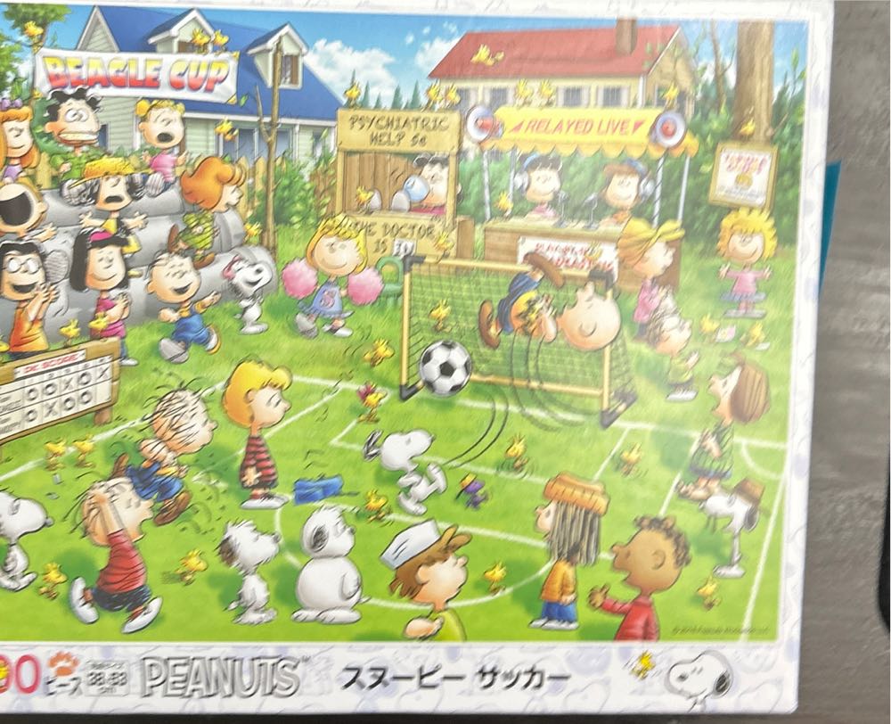 AP-XX: Snoopy Exercise