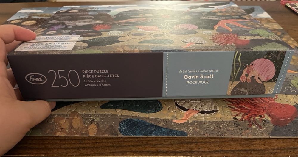 Rock Pool  puzzle collectible - Main Image 2