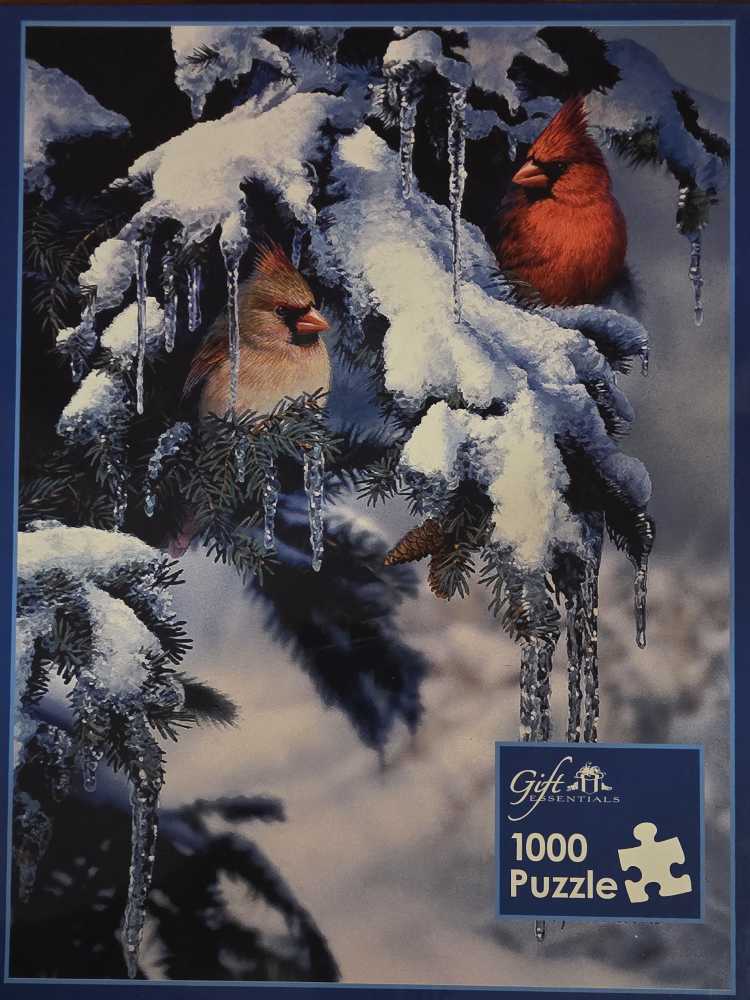 Jupiter And The Camel