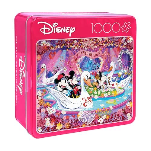 Snow Fire Cardinals Birds