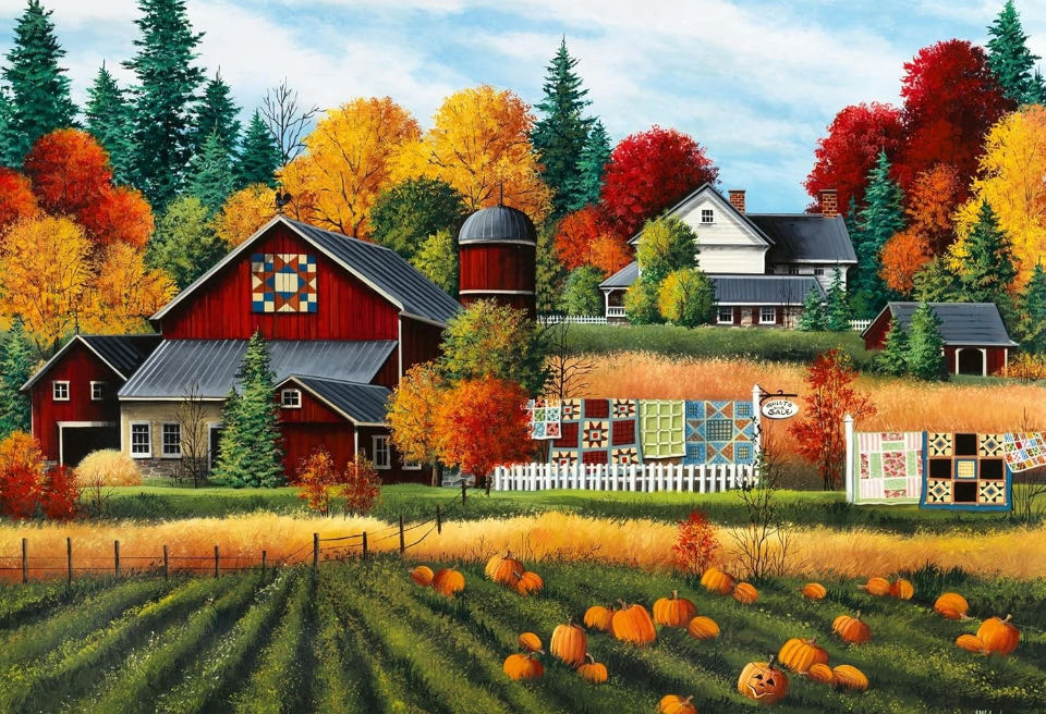 Champs De Fleurs Pays Bas