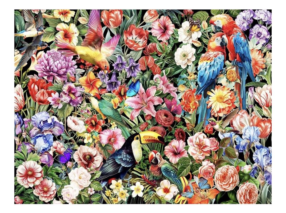 Bear’s Storytime Circle