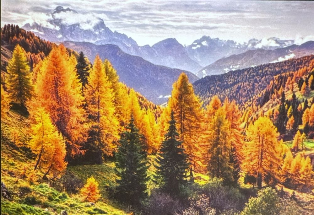 Dinosaurs Usps Postal Service Stamps #561 Colorforms 550 Pcs