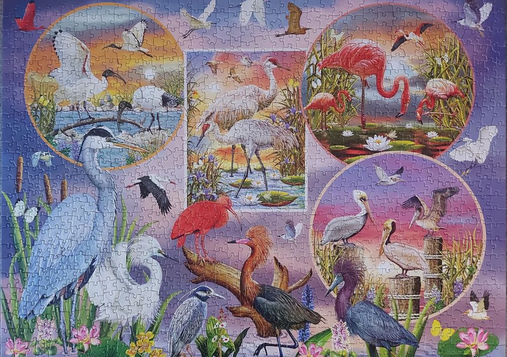 Waterbord Magic🐦 Betaald - Cobble Hill Puzzle Company puzzle collectible [Barcode 0625012802192] - Main Image 3