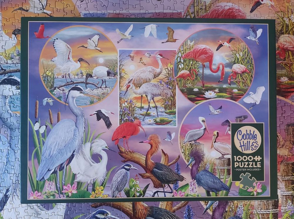 Waterbord Magic🐦 Betaald - Cobble Hill Puzzle Company puzzle collectible [Barcode 0625012802192] - Main Image 4