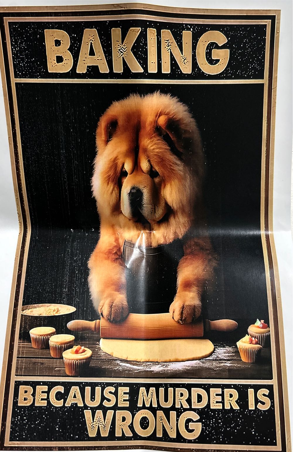 Just A Girl In Toronto