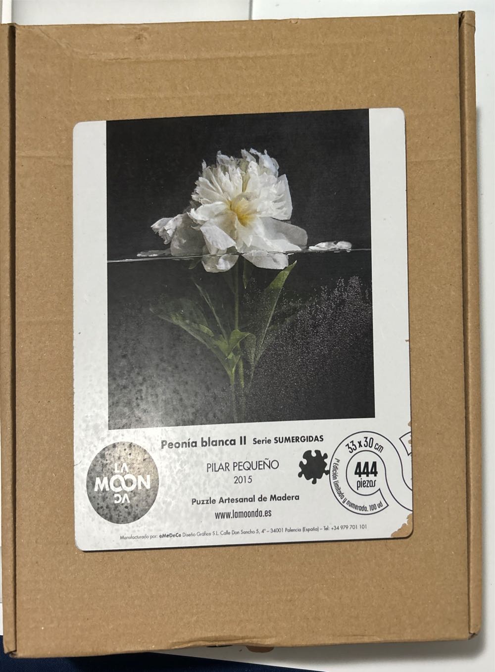 Mickey And Friends Skating In Central Park Piece Jigsaw Puzzle