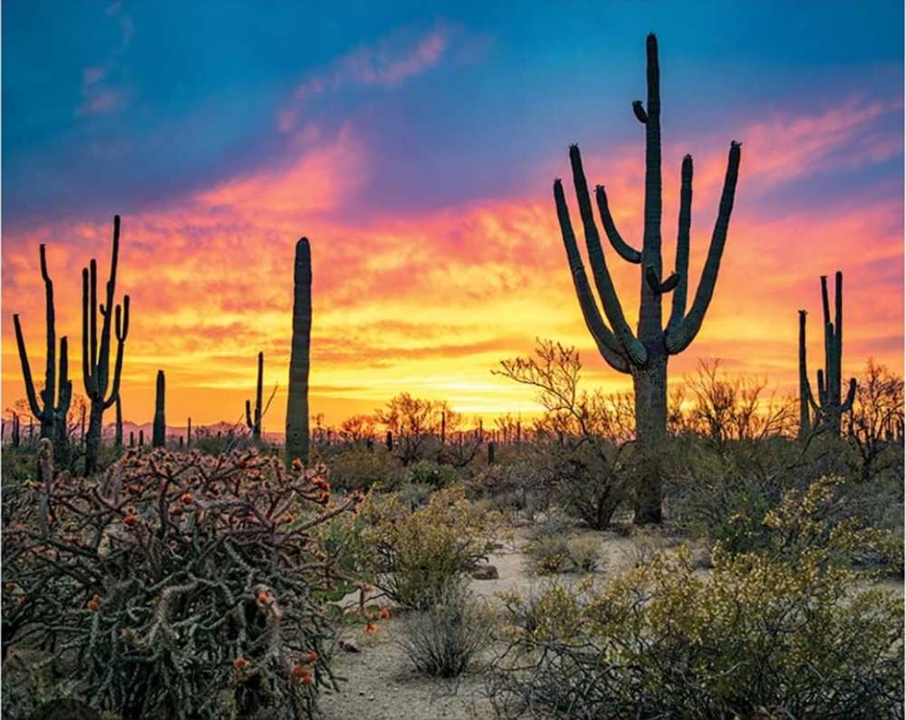 Ceaco: Beauty And The Beast