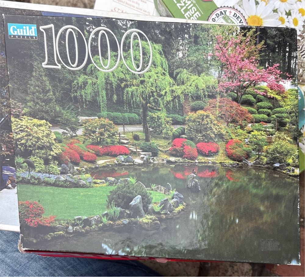 Exotic Jungle Animals Zoo Safari