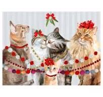 Happy Birthday✅🚪