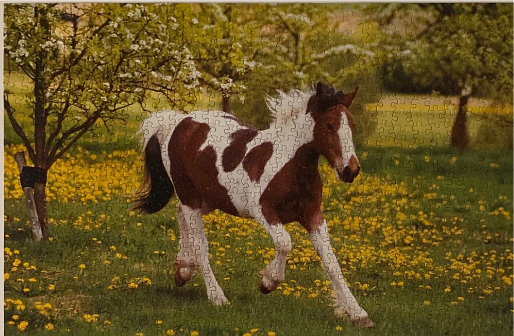 AP-10-604: Peanut Fan