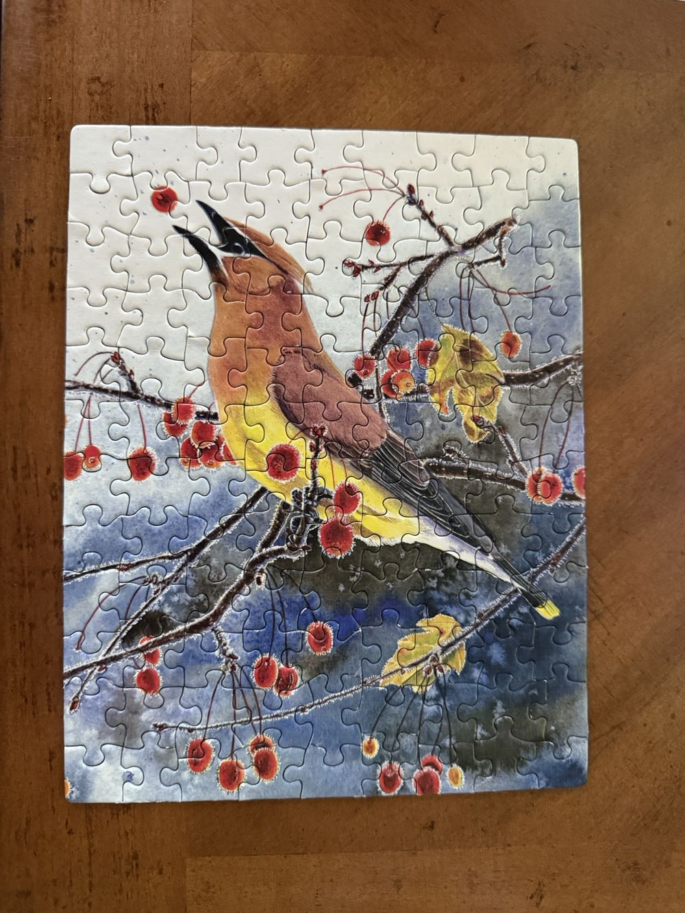 Cornell Lab Of Ornithology Collector’s Set 7 Piece Jigsaw Puzzle - New York Puzzle Company puzzle collectible [Barcode 819844018047] - Main Image 5
