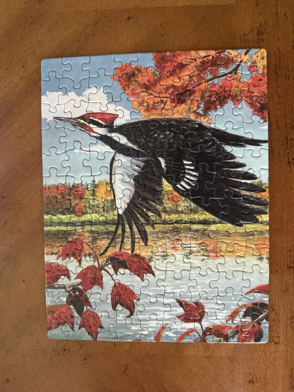 Cornell Lab Of Ornithology Collector’s Set 7 Piece Jigsaw Puzzle - New York Puzzle Company puzzle collectible [Barcode 819844018047] - Main Image 6