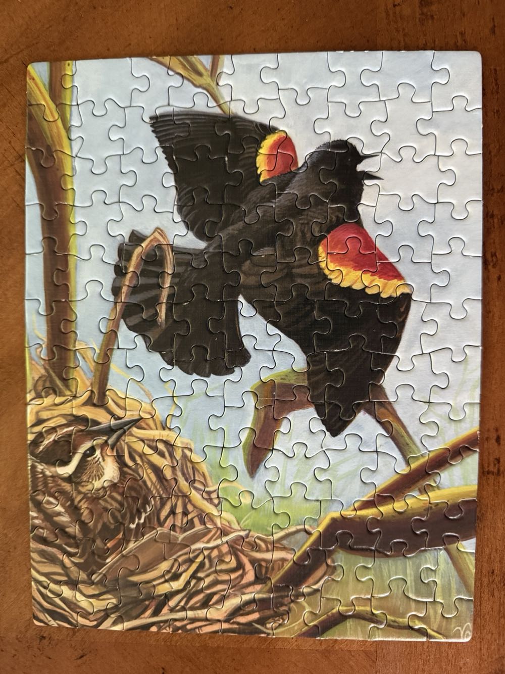Cornell Lab Of Ornithology Collector’s Set 7 Piece Jigsaw Puzzle - New York Puzzle Company puzzle collectible [Barcode 819844018047] - Main Image 7