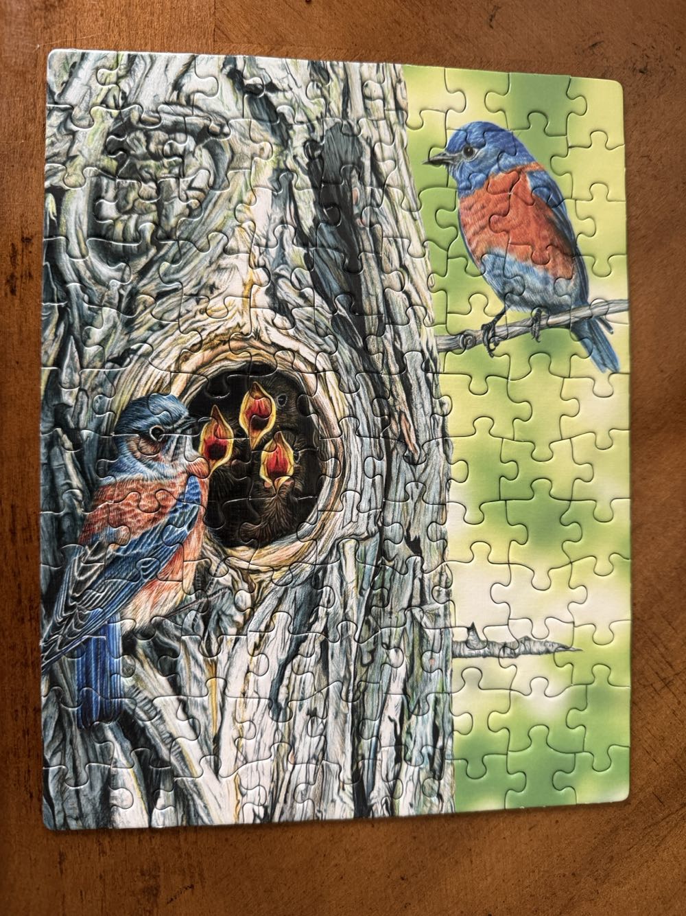 Cornell Lab Of Ornithology Collector’s Set 7 Piece Jigsaw Puzzle - New York Puzzle Company puzzle collectible [Barcode 819844018047] - Main Image 8