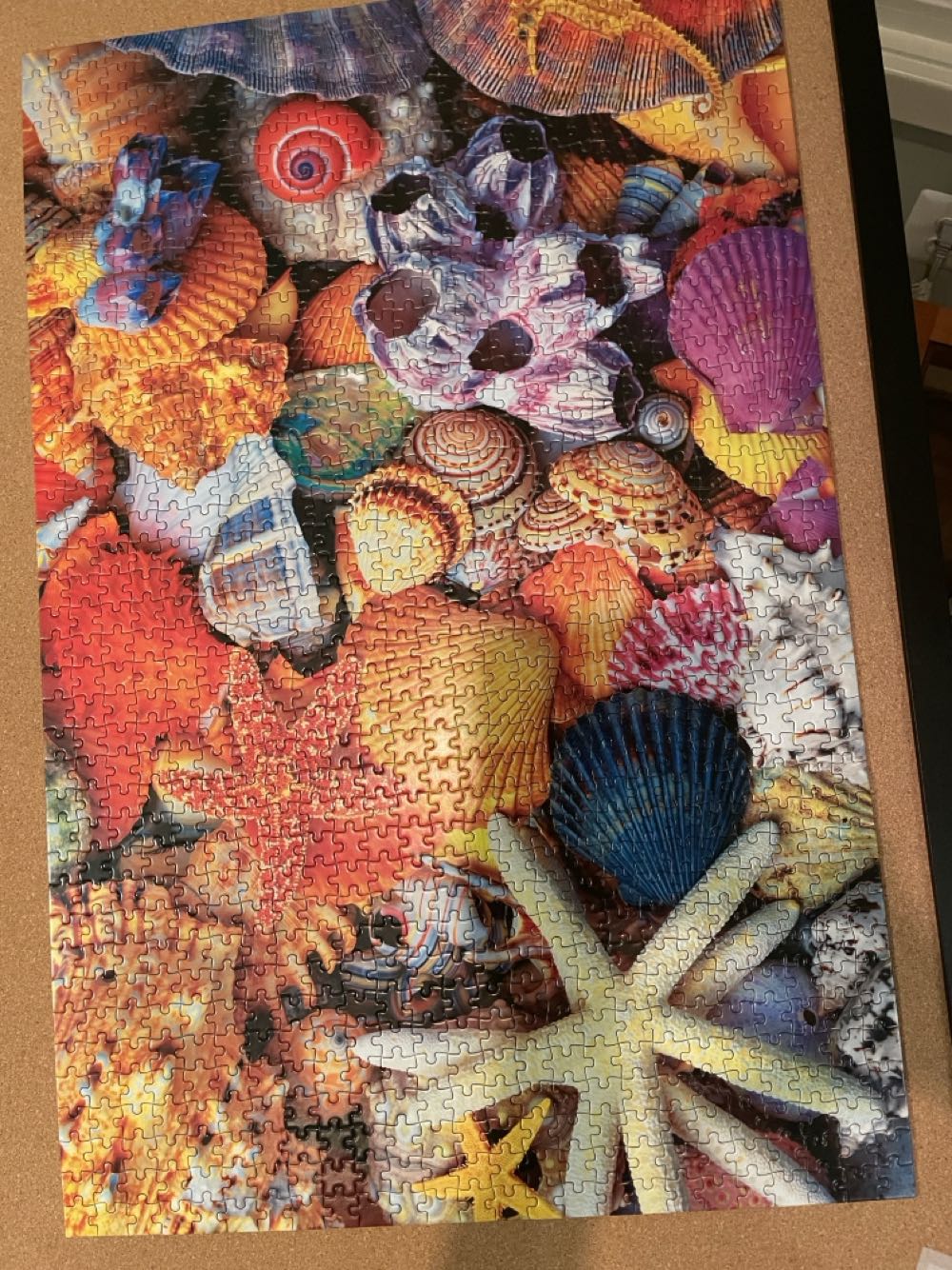 Seashells By The Seashore - Seesaw puzzle collectible [Barcode 840225805628] - Main Image 3