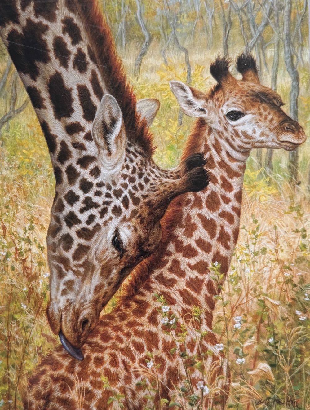 Cervena Lhota Chateau- Gave Away