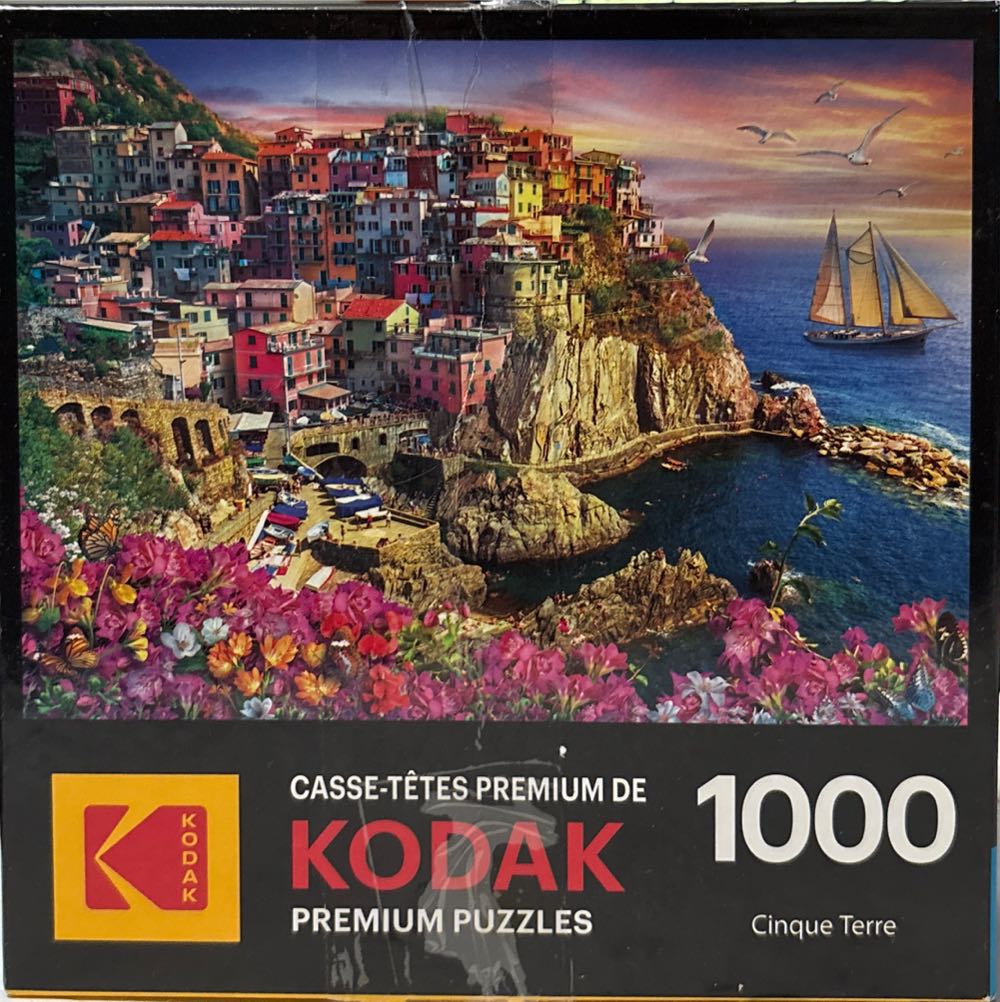  Game Day In The Dog House