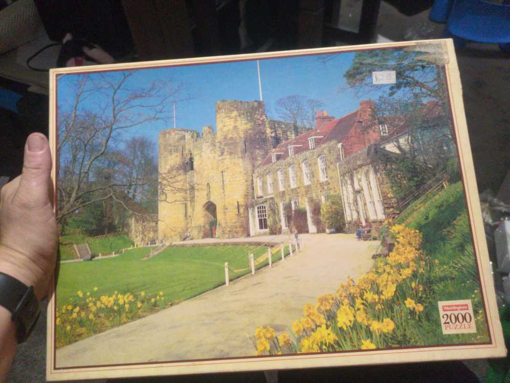 Animalia Collection-Lions Mice Newts Ostrich