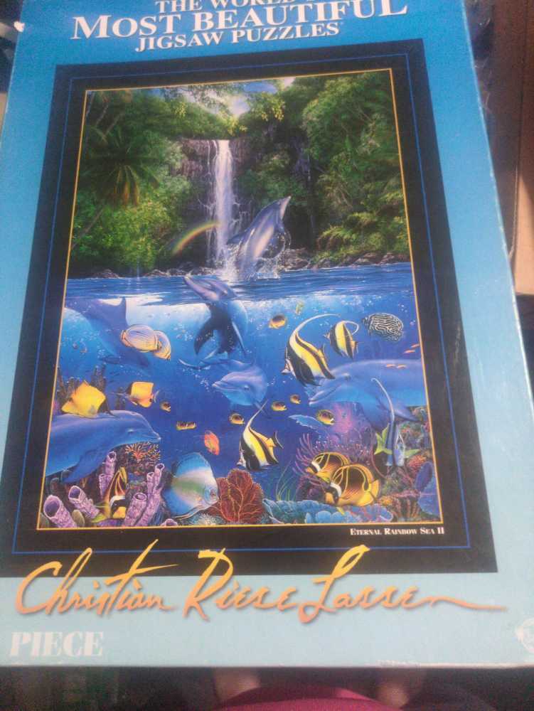 Hide And Seek Dolphins