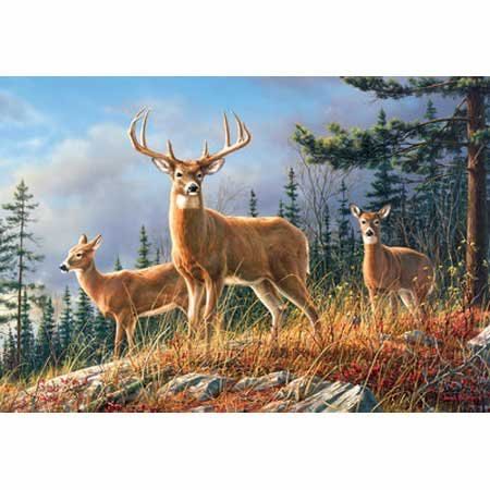 Rialto Bridge, Venice, Italy