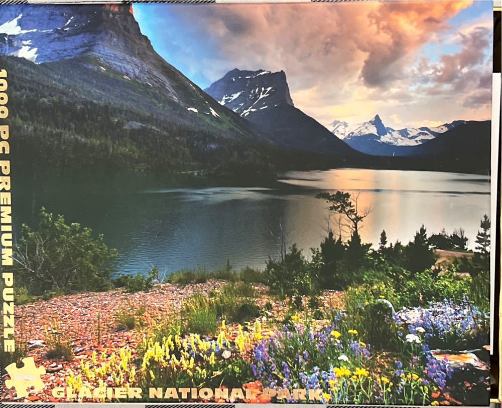 The Elf On The Shelf**