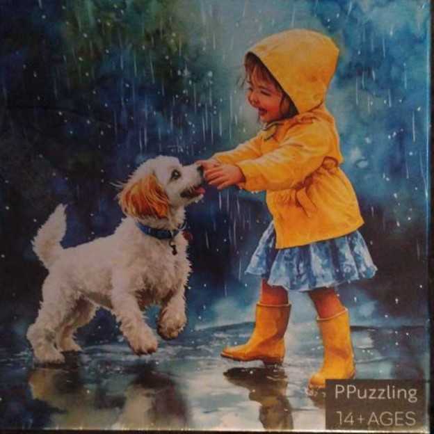 RoseArt: National Parks Box Set