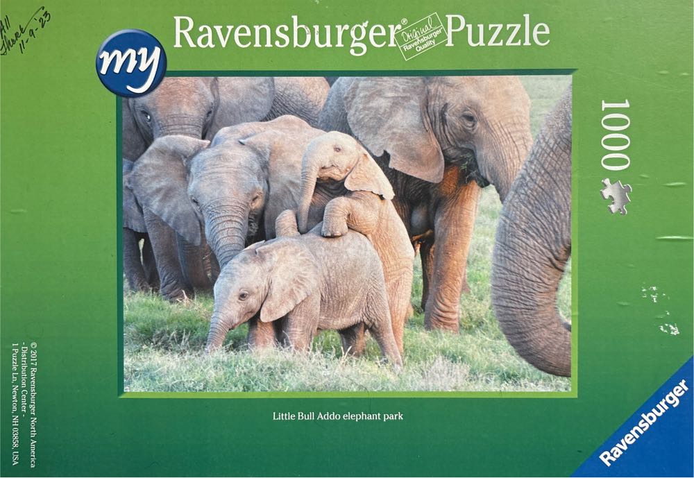 Pieter Bruegel The Wedding