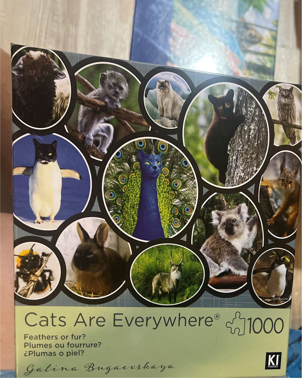 Ravensburger Swiss Nature Matterhorn 99 Vkk Swiss Migipedia Rvb