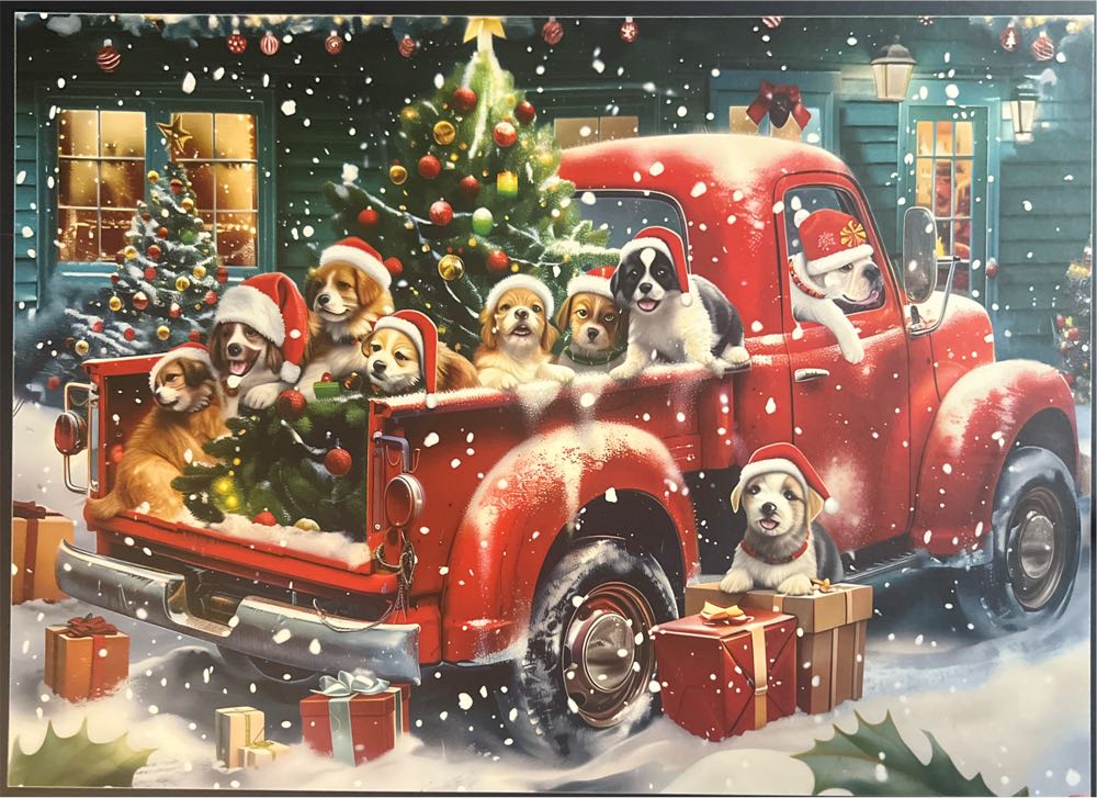 New York City Skaters Central Park