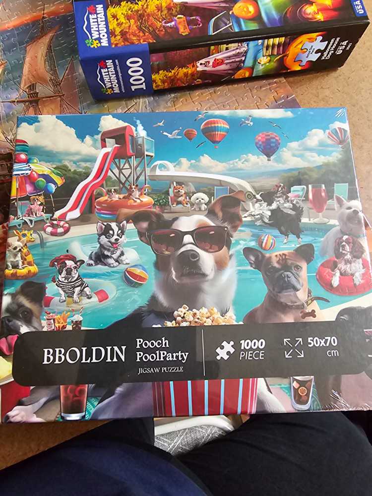 MB-300-308: Come here! Pokémon Concert