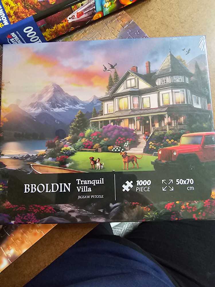 Zoekboek Jan Van Haasteren Sport Tweedehands