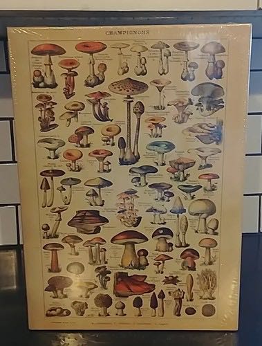 Tangled Disney Signature