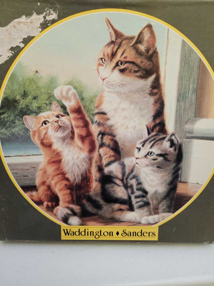 I’m Sorry I Can’t Come Out Today 261