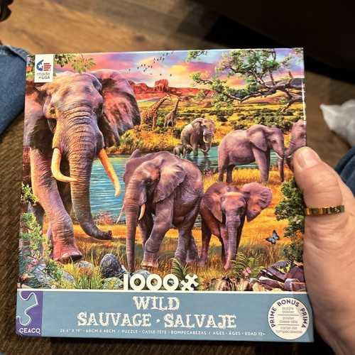 Crafty Cat - Completed 