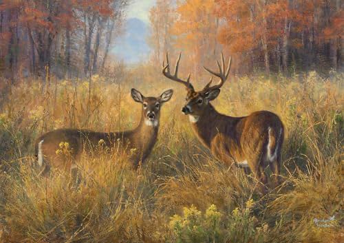 King Kong The 8th Wonder Of The World