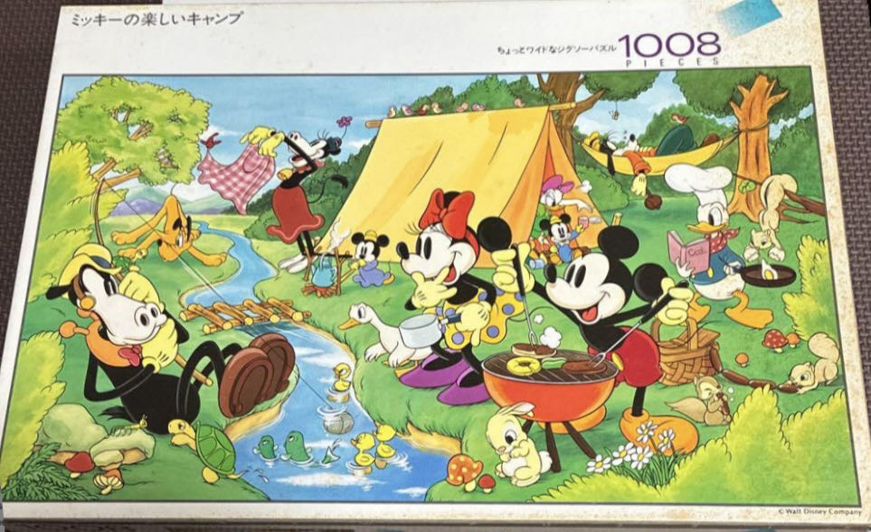 Hide And Seek Dolphins