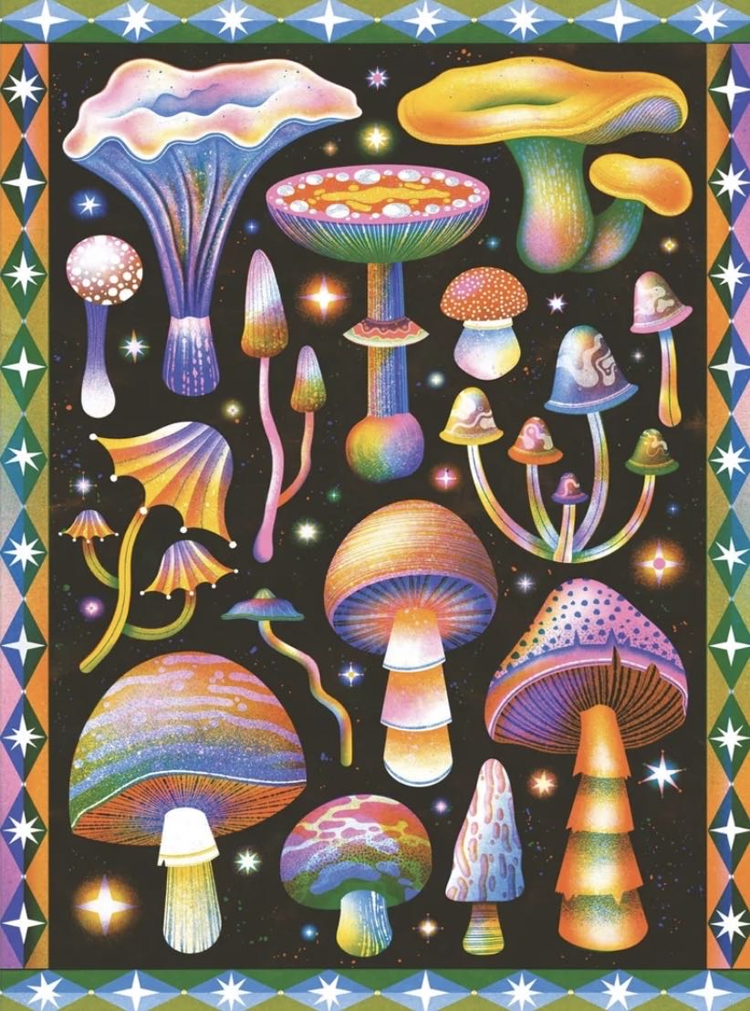 Space Hoppers & Scooters