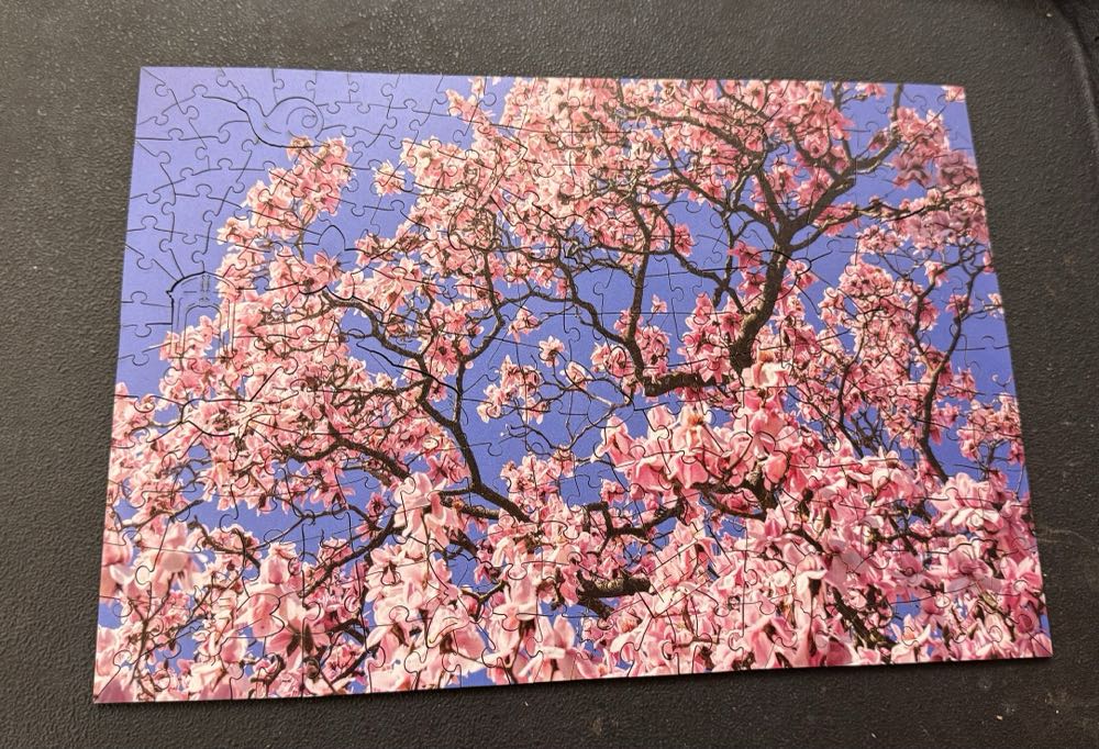 Magnolia Tree, Nymans, West Sussex - Wentworth 🇺🇸 puzzle collectible [Barcode 6050265374266] - Main Image 4