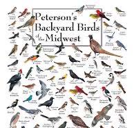 Genuine Fred Space Butterfly By Jarom Vogel 250-piece Puzzle 16.5 X 22.5 Inches