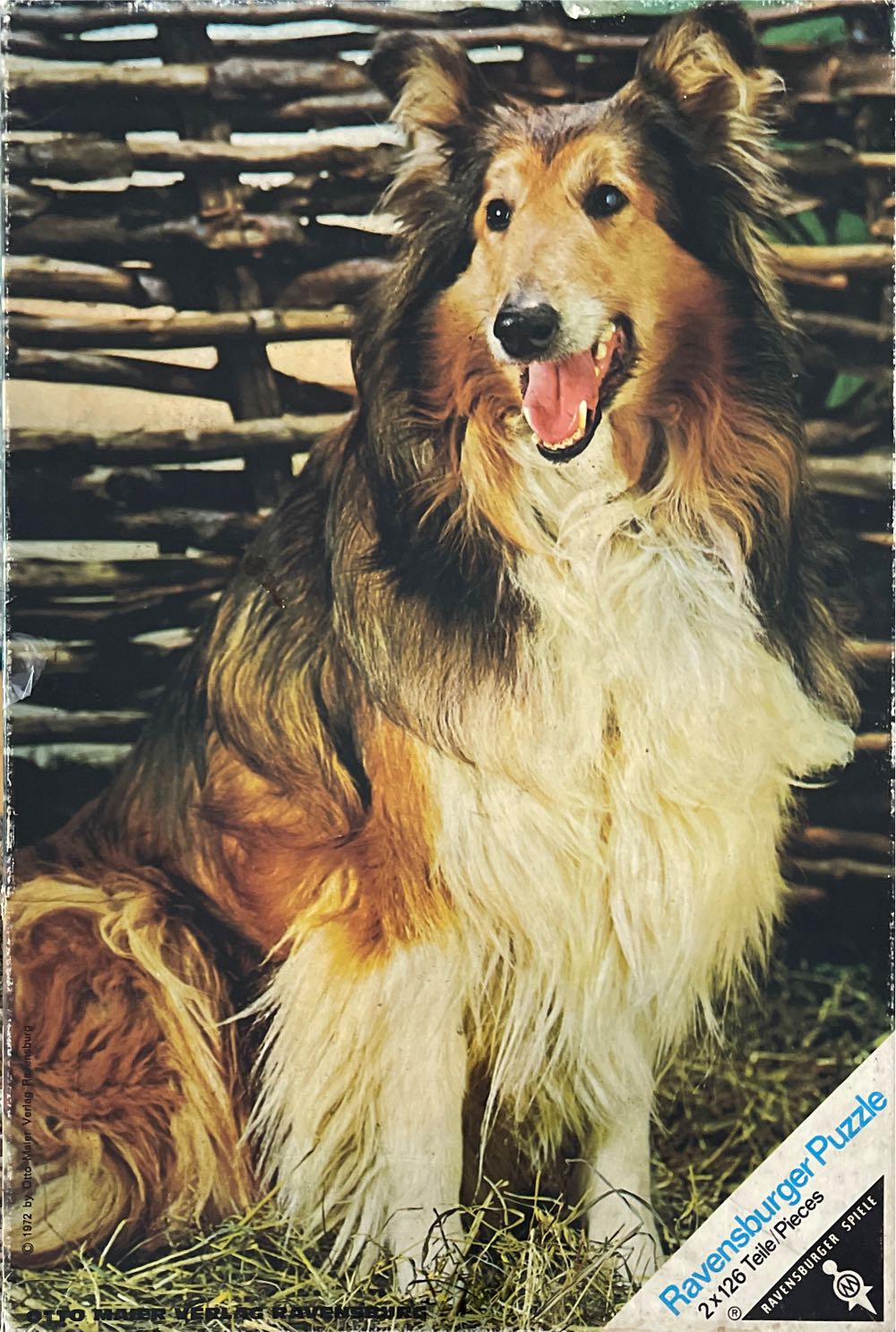 TDL-300: Mickey & Friends