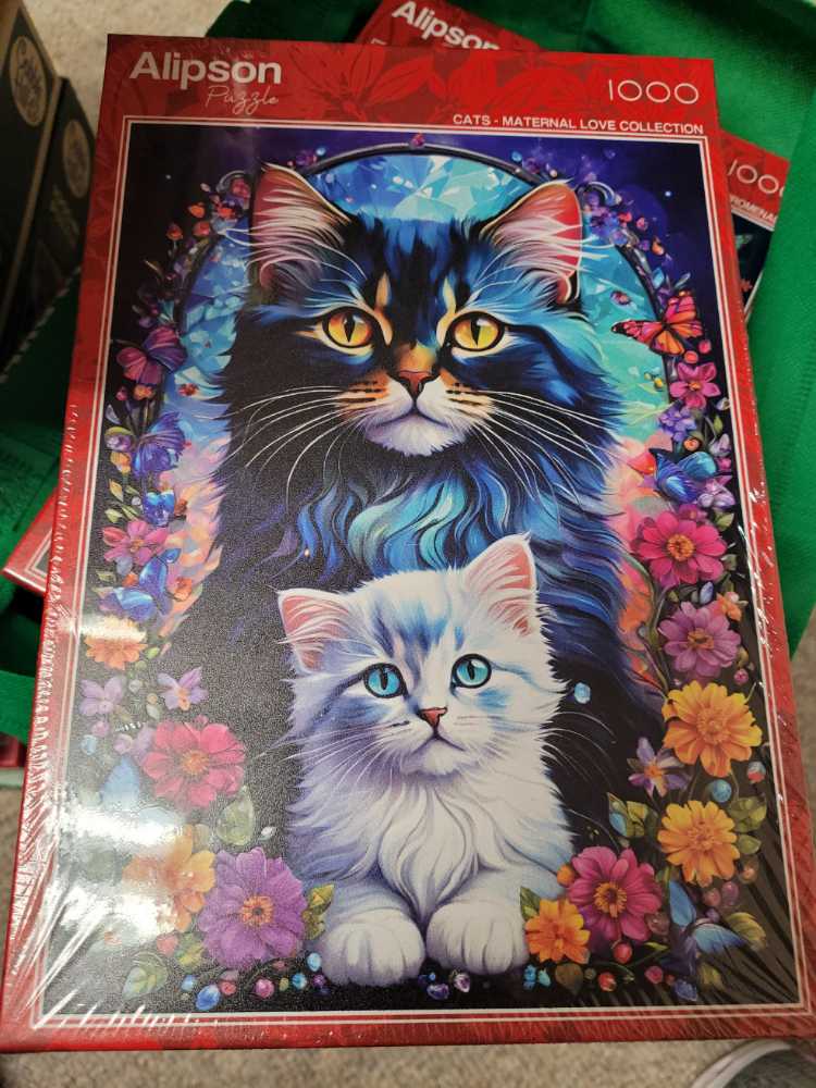 Doiy Beetle 500 Slow Beetle