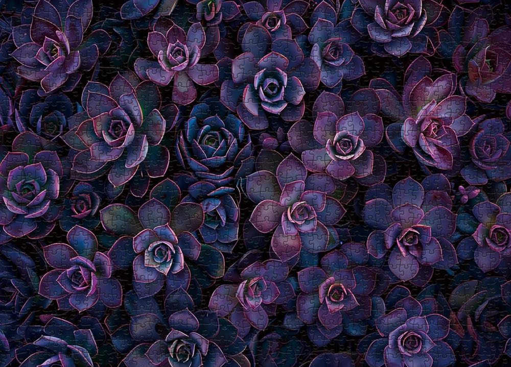 Purple Succulents - Bbolden puzzle collectible - Main Image 2