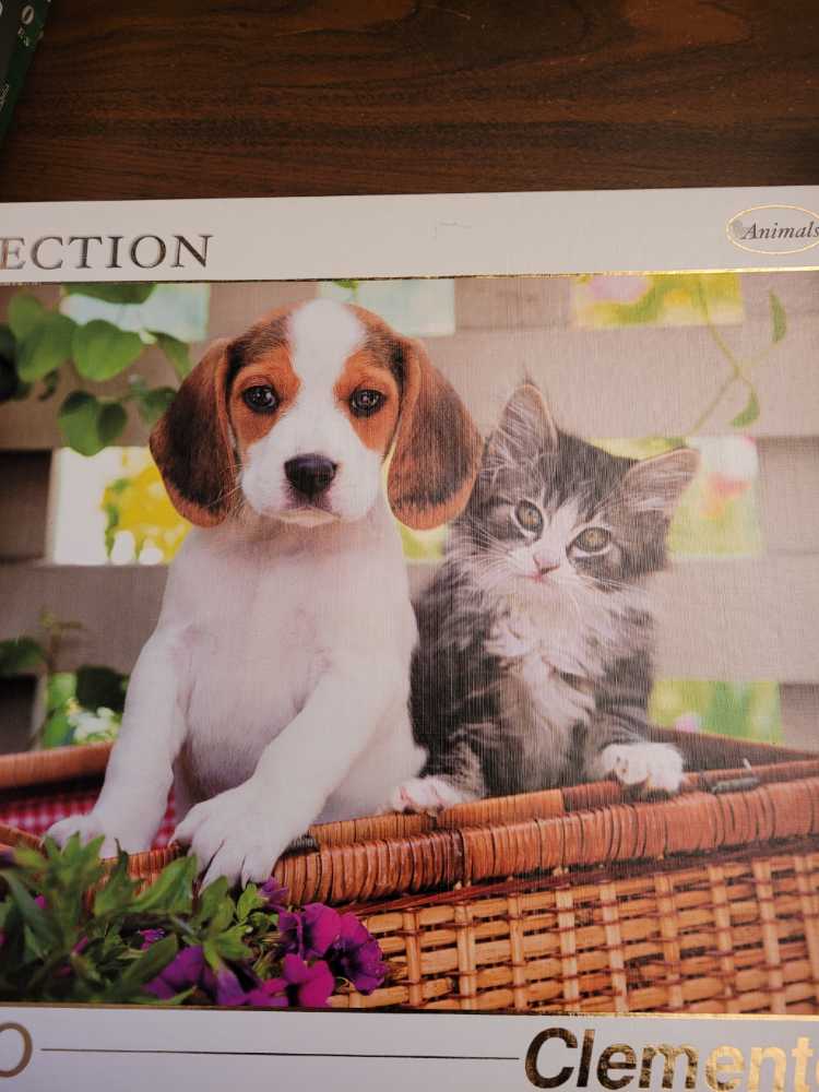 Washington State Cougars