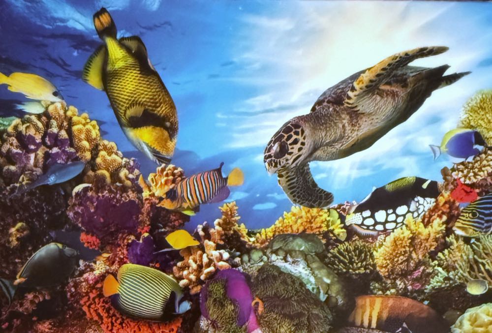 The Christmas Squirrel