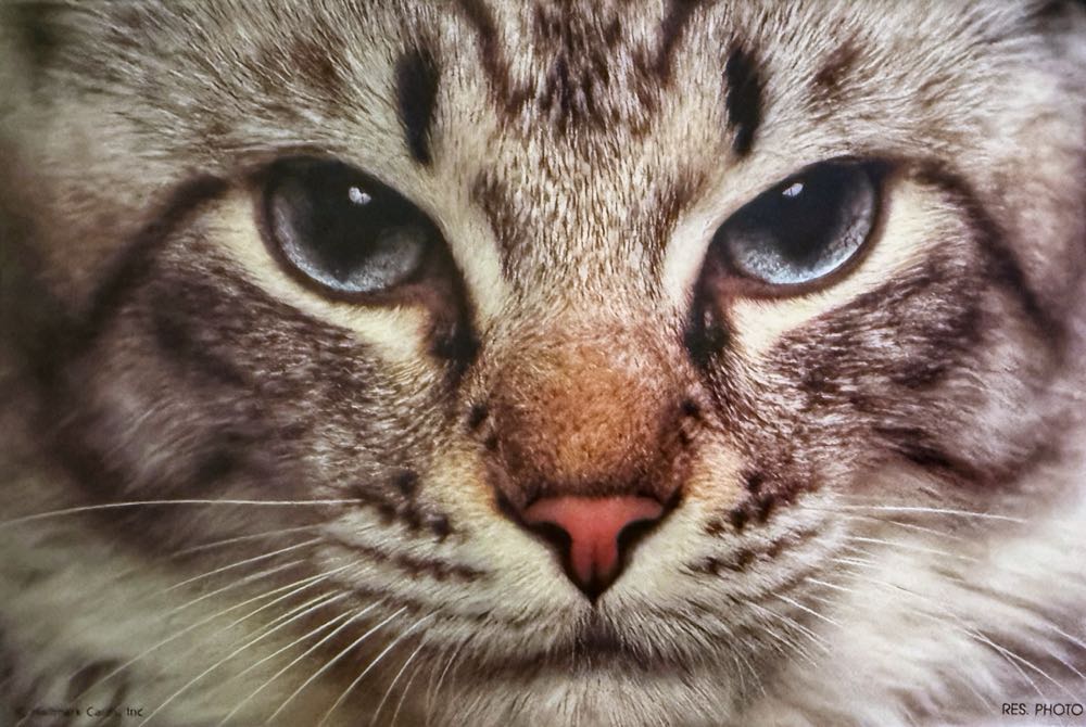 500 Ks Okrúhle Master Line Trade.com